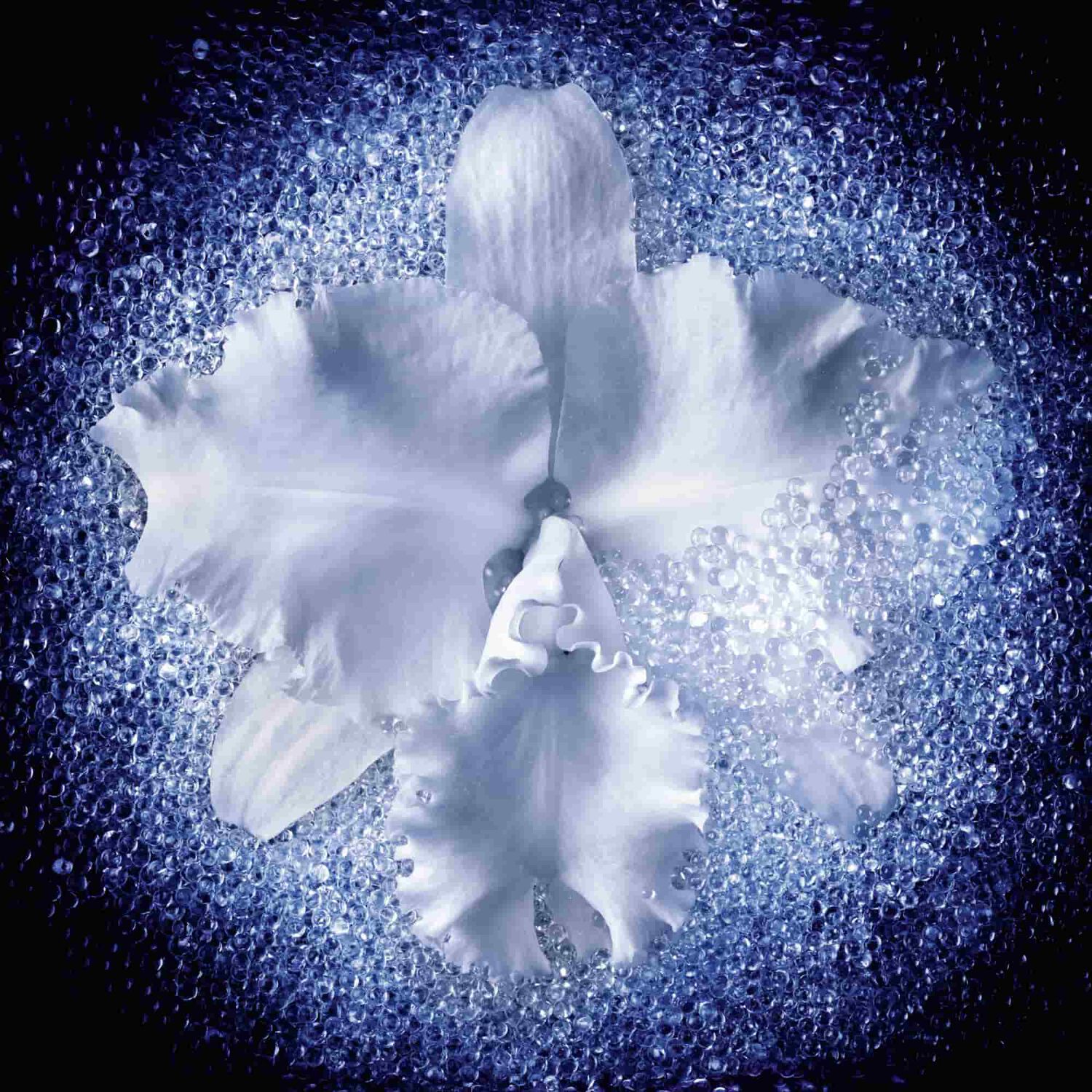 Guerlain Orchidée Impériale Le Concentré Micro-Lift