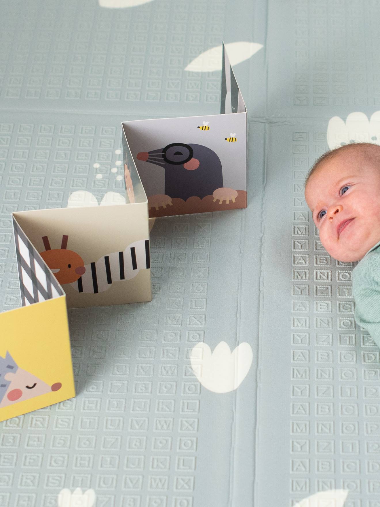 Taf Toys Baby Schaumstoff-Spielteppich TAF TOYS - mehrfarbig/savanne
