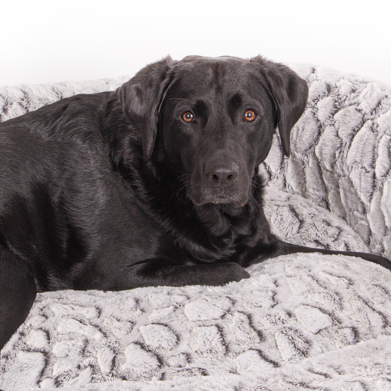 Wallace & Jones Hundebetten Wallace & Jones Hundebett Cordo-Heaven M