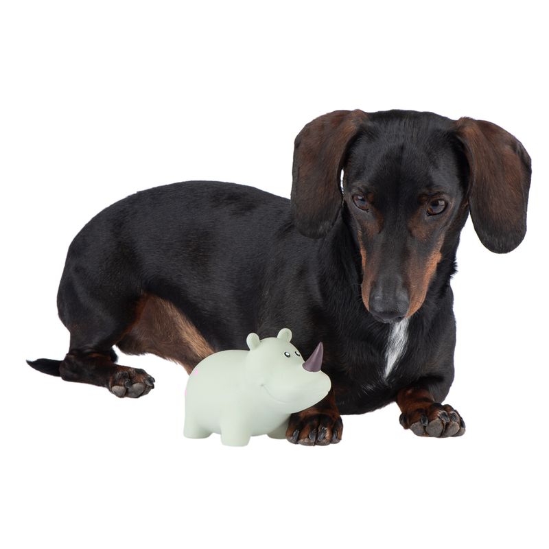 Hundespielzeug Latex Ralf zu TOP-Preisen