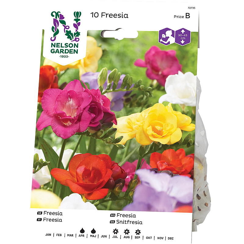 Nelson garden Freesia Dobbel, blandede farger