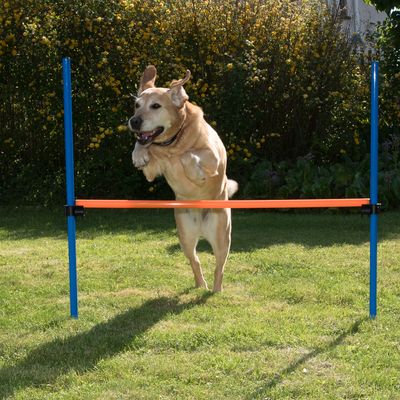 Agility Set: Fun & Sport Set