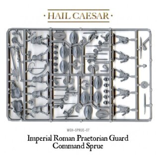 Early Imperial Romans: Praetorian Guard (20+ Marcus Aurelius)