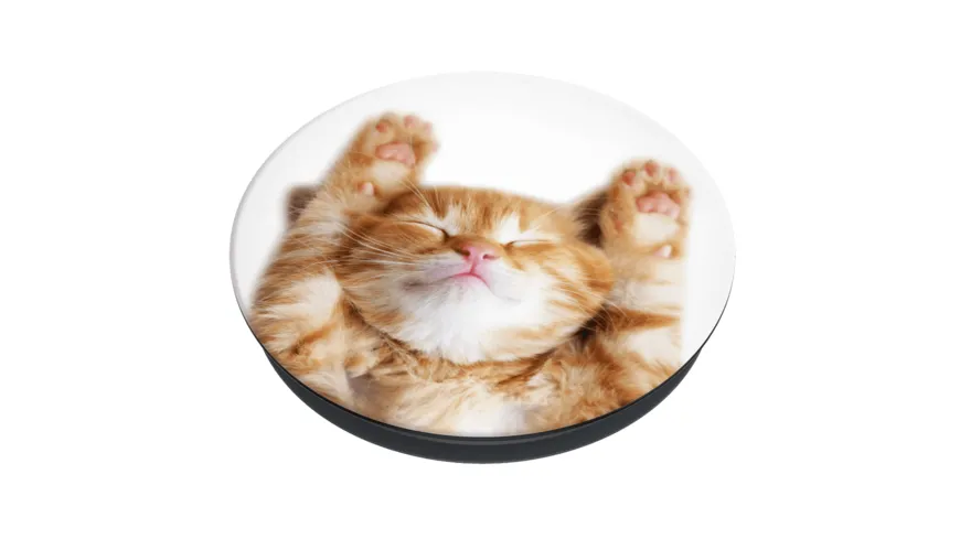 PopSockets Basic Snoozy Cat