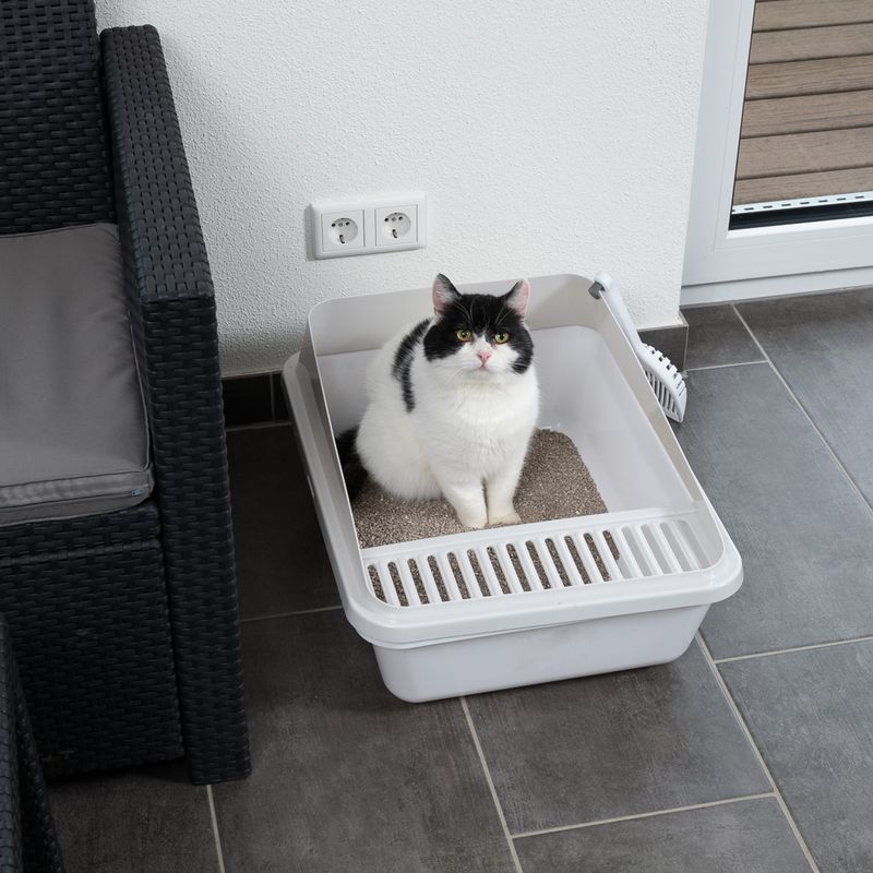 TIAKI Schalentoilette Dusty zu TOP-Preisen
