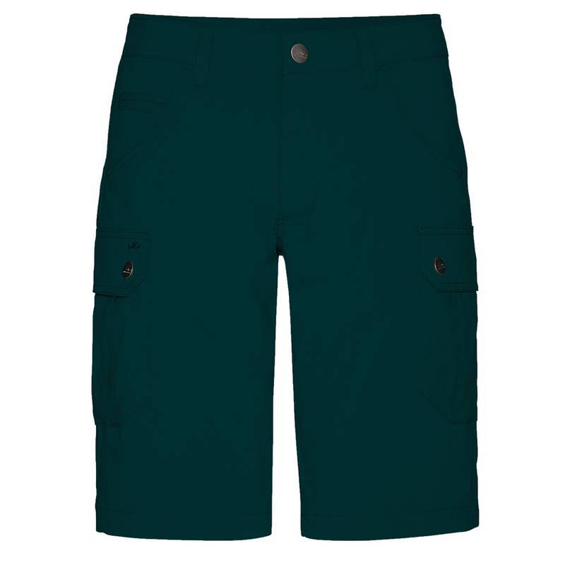 Jeff Green Stan Funktionsshorts Herren