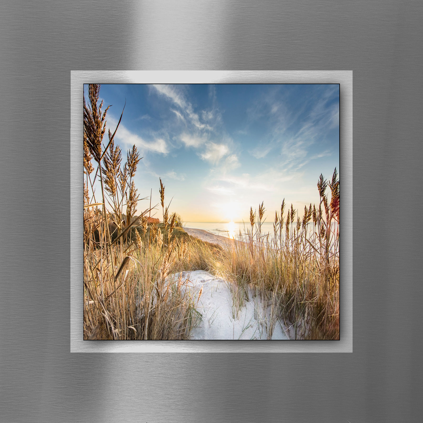 Pro ArtAludibond 50x50cm