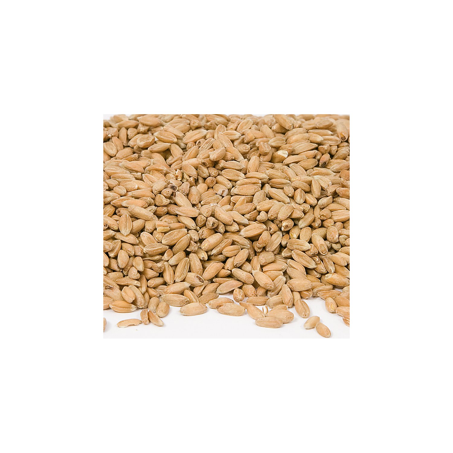 Dinkelkerne,1000 g