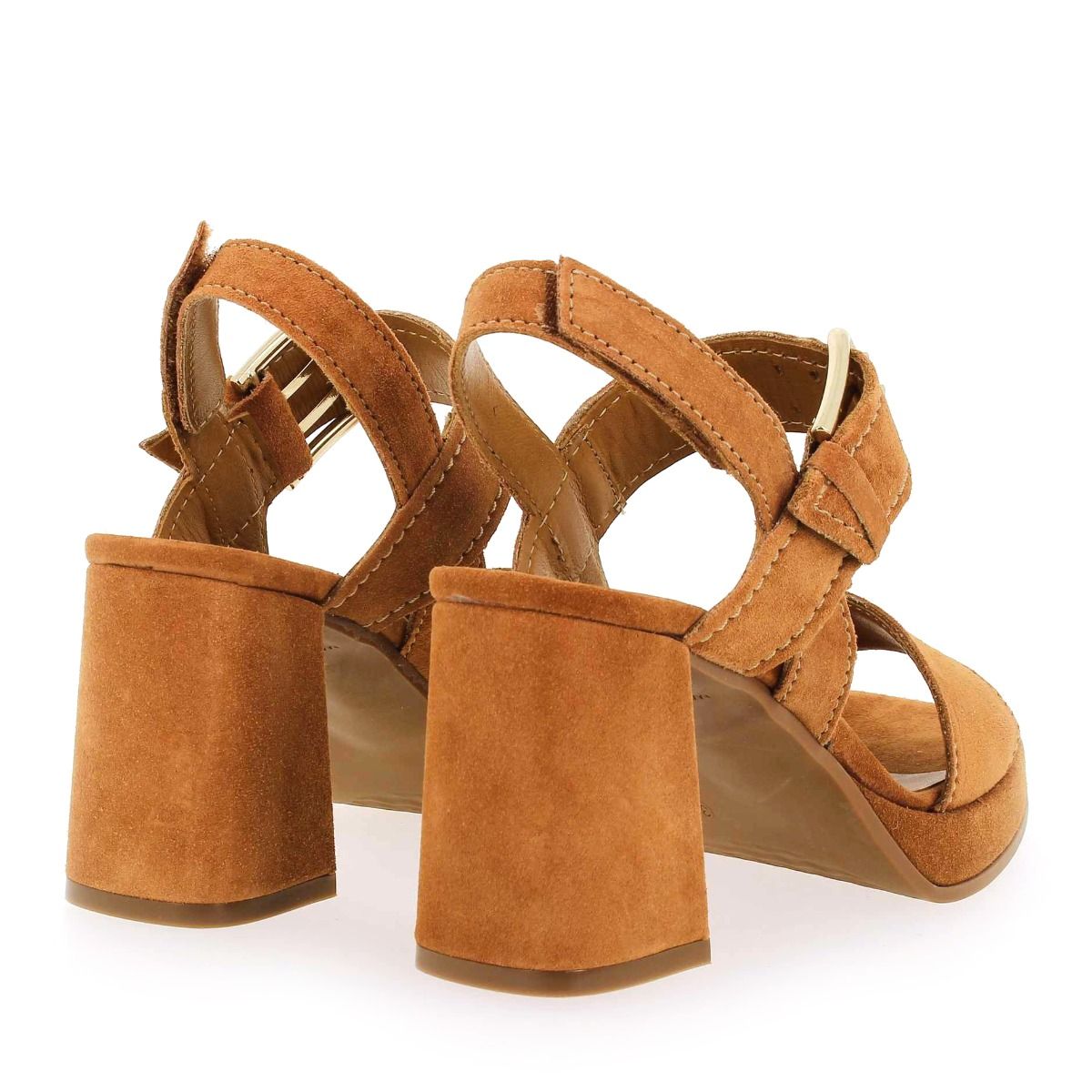 Alpe  2572 - Camel