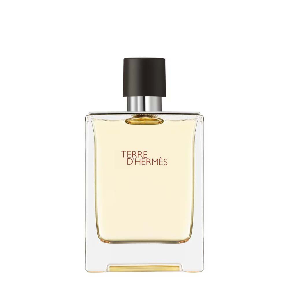 HERMÈS Eau de Toilette Hermès Terre d´Hermès Eau de Toilette 100ml, Glasflakon