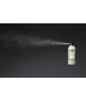 Maria Nila Style & Finish Trockenshampoo 250 ml