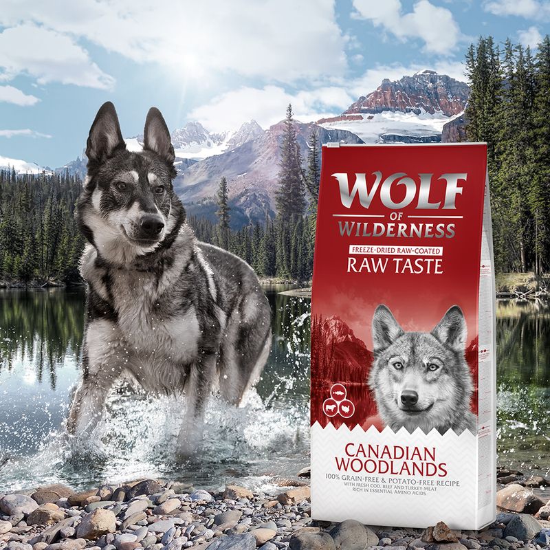 Wolf of Wilderness 'RAW TASTE' MINI Kroketten