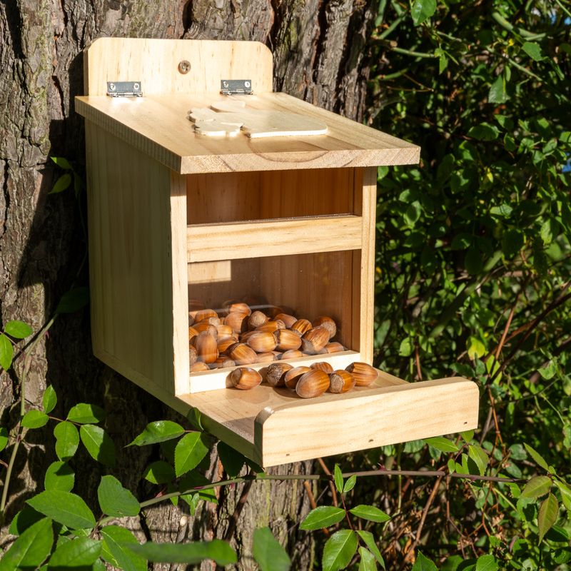TIAKI Eichhörnchen Futterstation zu TOP-Preisen