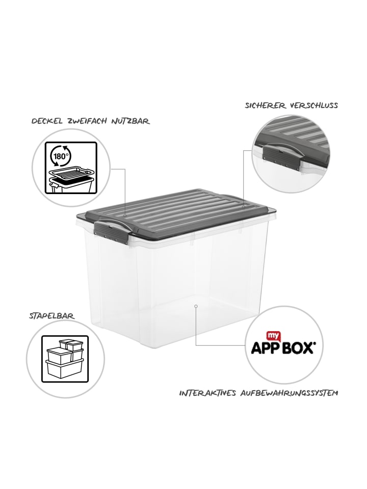 Rotho 3er Set Box DIN A4 Format hoch, 19 l COMPACT günstig kaufen onesize