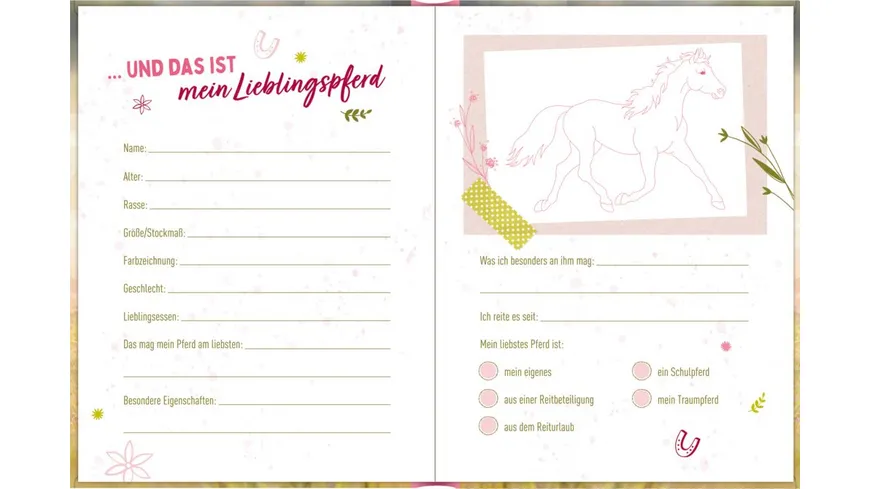 Coppenrath Verlag - Eintragbuch: I LOVE MY HORSE, Lieblingspferd und ich