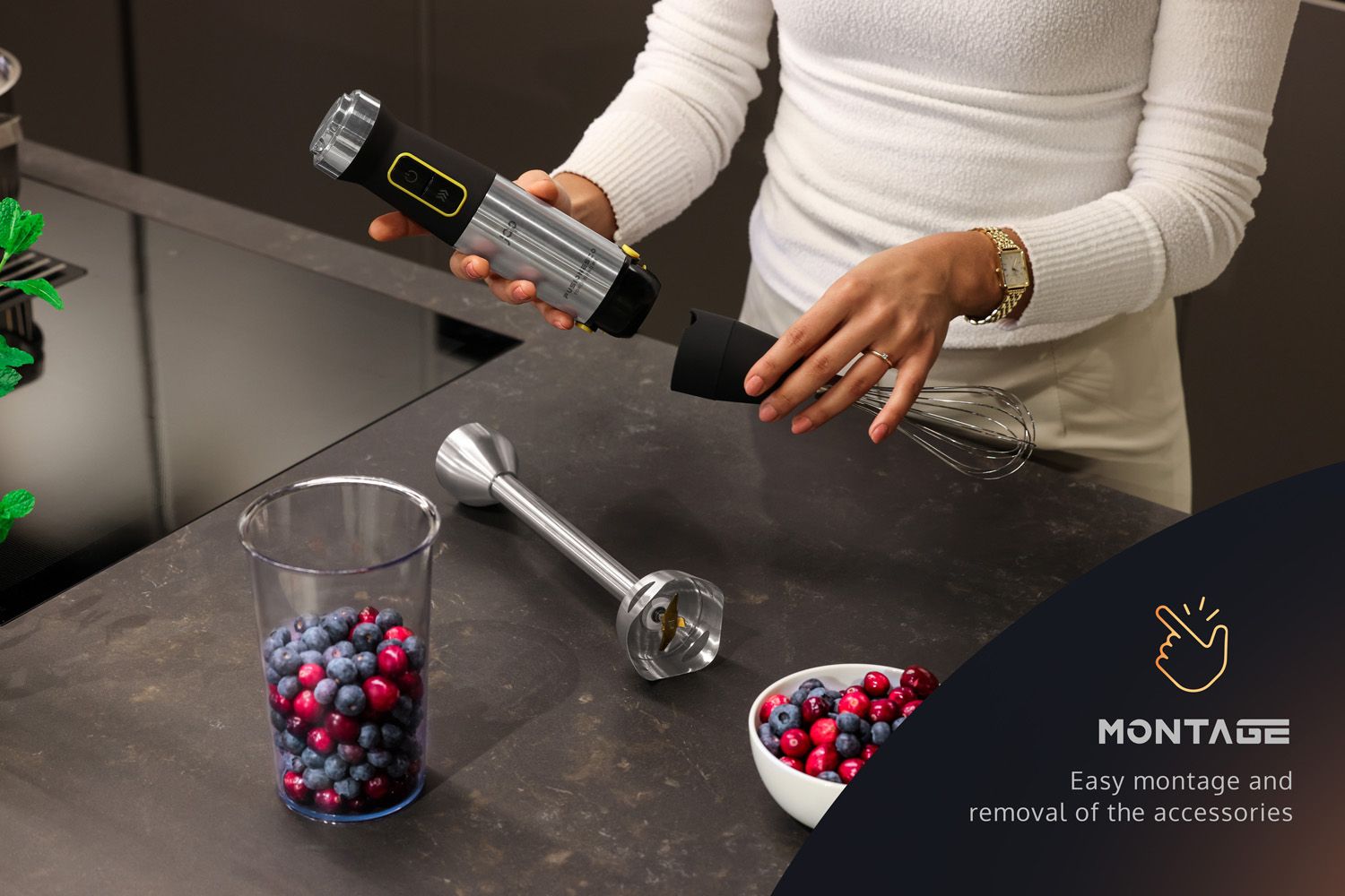 JAP ForceBlend F3 Stabmixer Set
