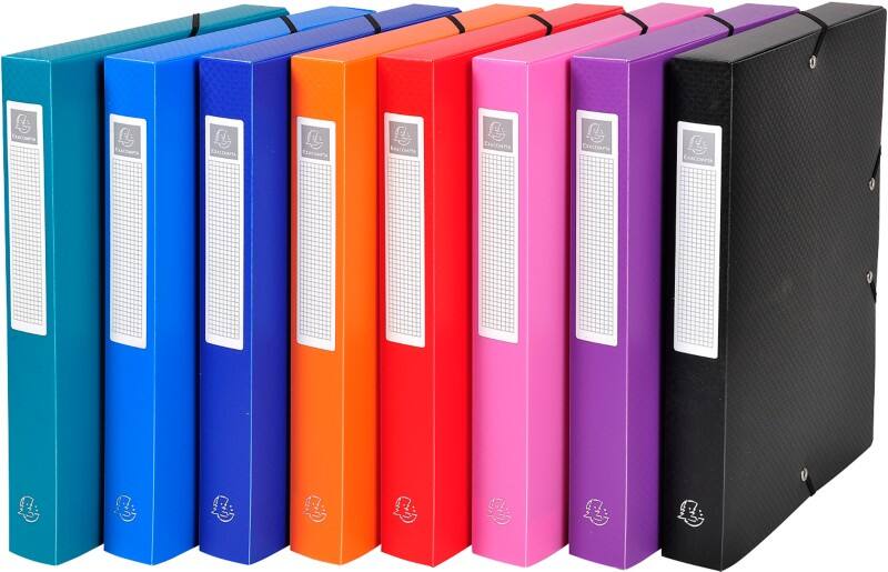 Exacompta Archivboxen 5970E DIN A4 Farbig sortiert Polypropylen 25 x 33 cm 8 Stück