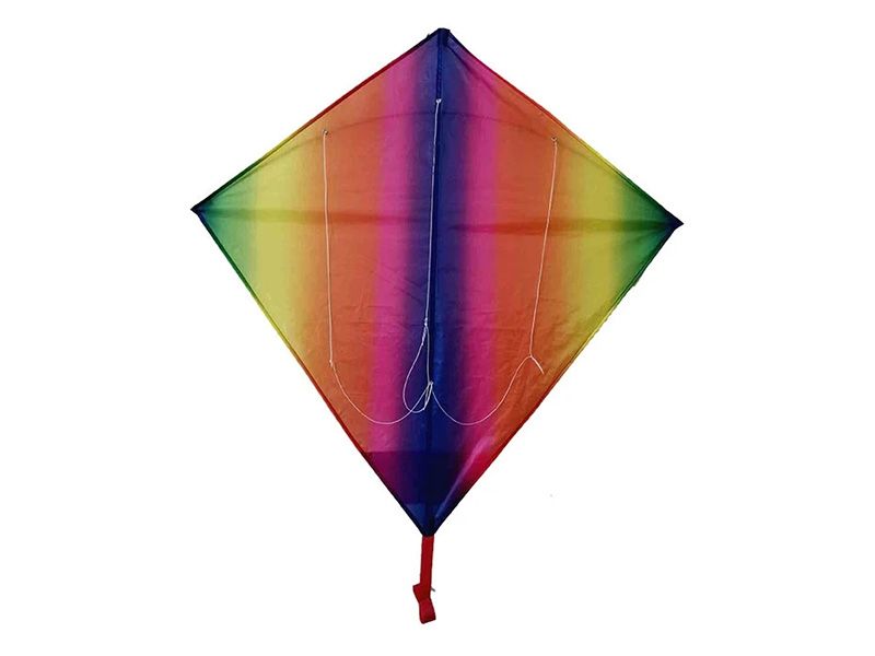Rainbow Easy 2-in-1 Drachen