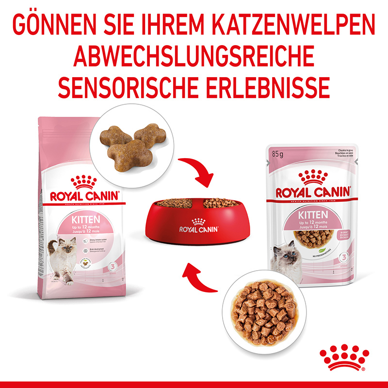 ROYAL CANIN Nassfutter ROYAL CANIN Kitten 12x85g in Soße