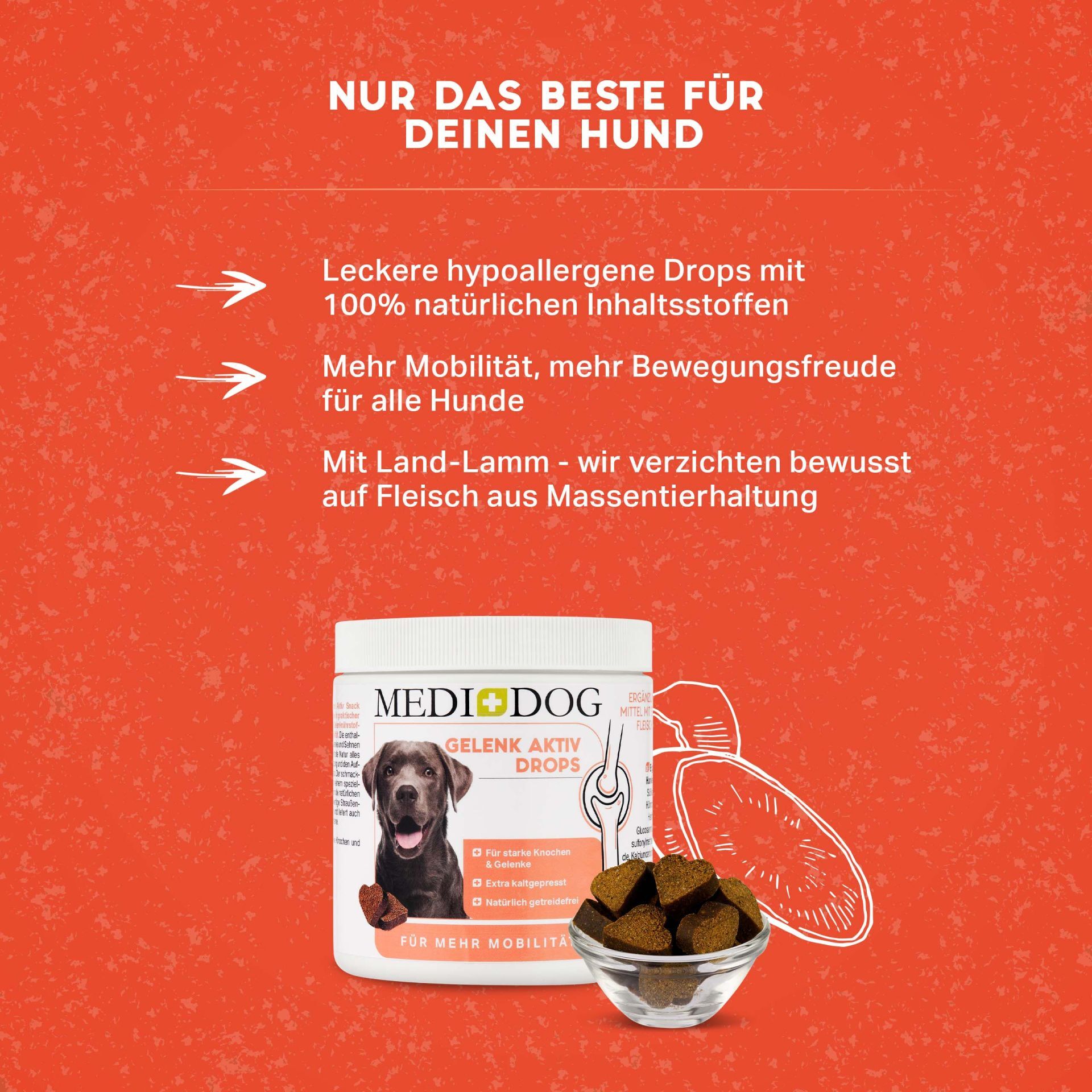 MediDog Ergänzungsfutter & Aufzucht MediDog Gelenk Aktiv Drops
