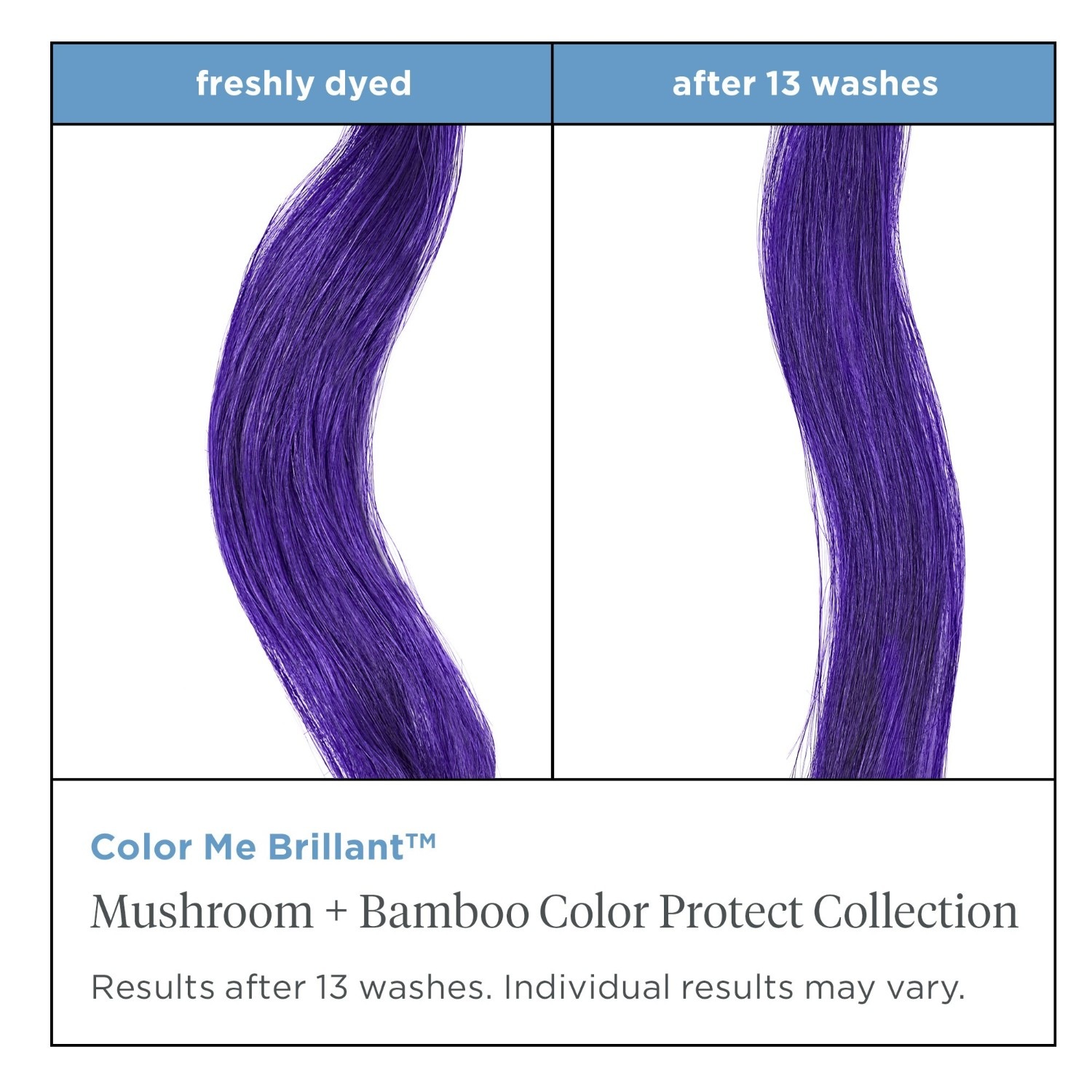 Mushroom + Bamboo Color Protect Primer