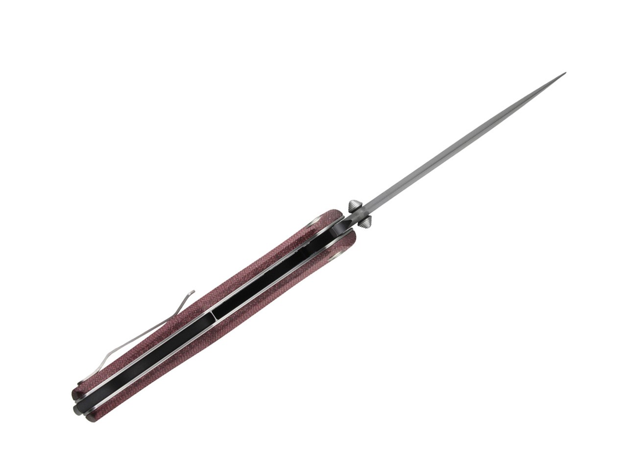 Gekko 1555