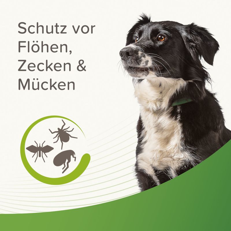 beaphar Zecken- & Flohschutz-Halsband für Hunde