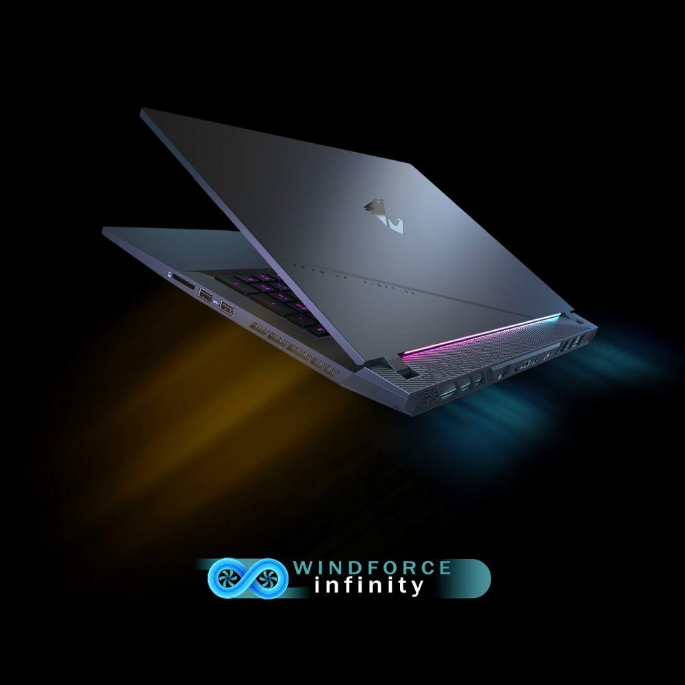 Gigabyte AORUS 17 BSF-73DE654SH Gaming-Notebook (43,94 cm/17,3 Zoll, Intel Core i7 13700H, GeForce RTX 4070, 1000 GB SSD)