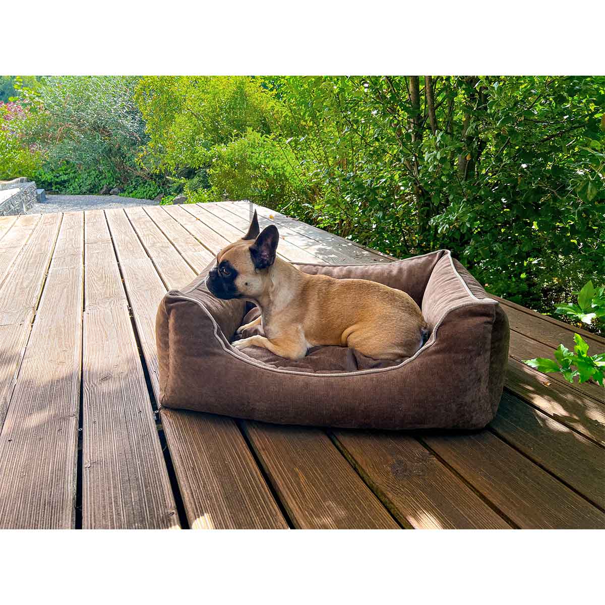 Aumüller Hundebett Sofa Ortho Line Braun kaufen bei ZooRoyal