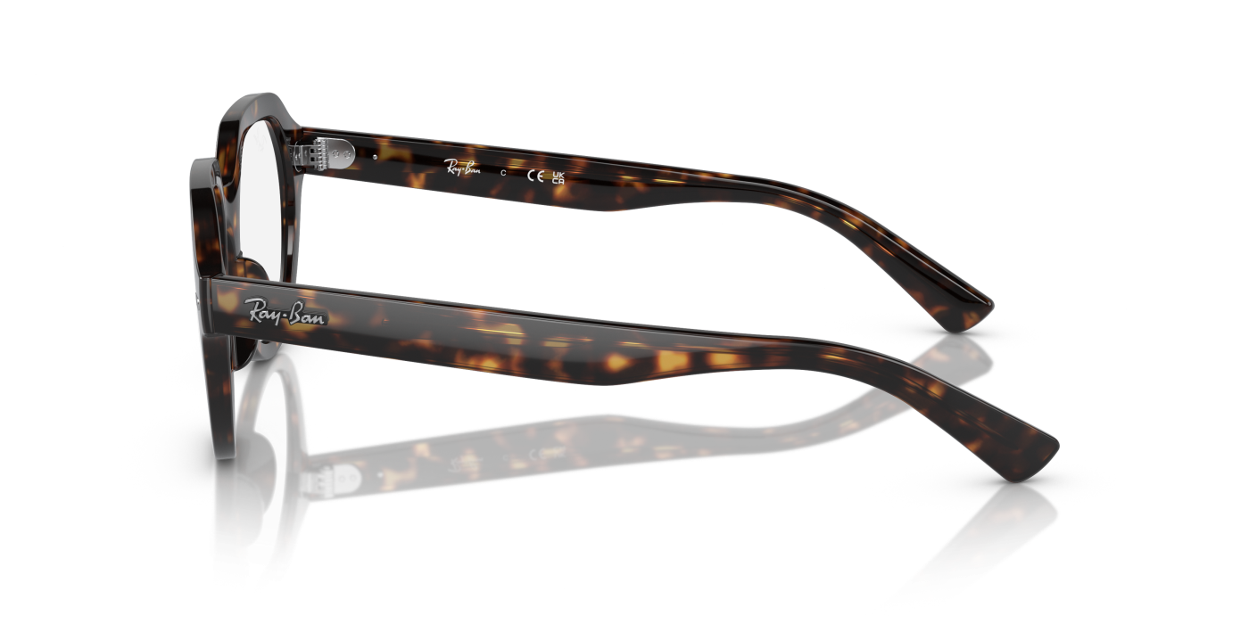 GINA OPTICS - Havana Gloss