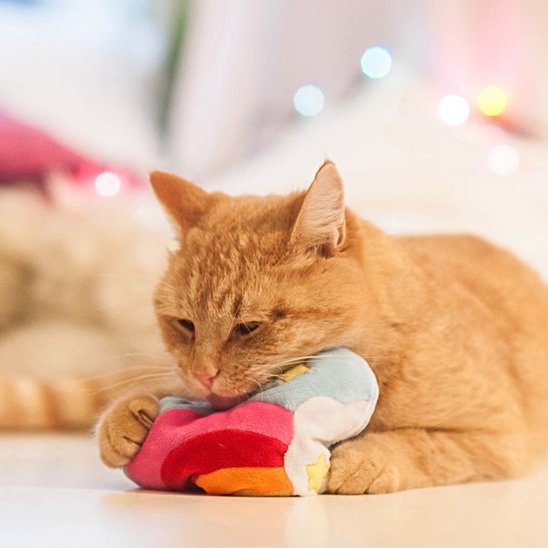 Aumüller Katzenspielzeug Regenbogenherz zu TOP-Preisen