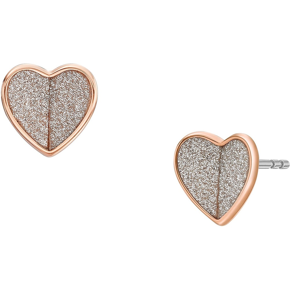 Fossil Boucles d'oreilles à fermoir à poussette Acier inoxydable Boucles d'oreilles