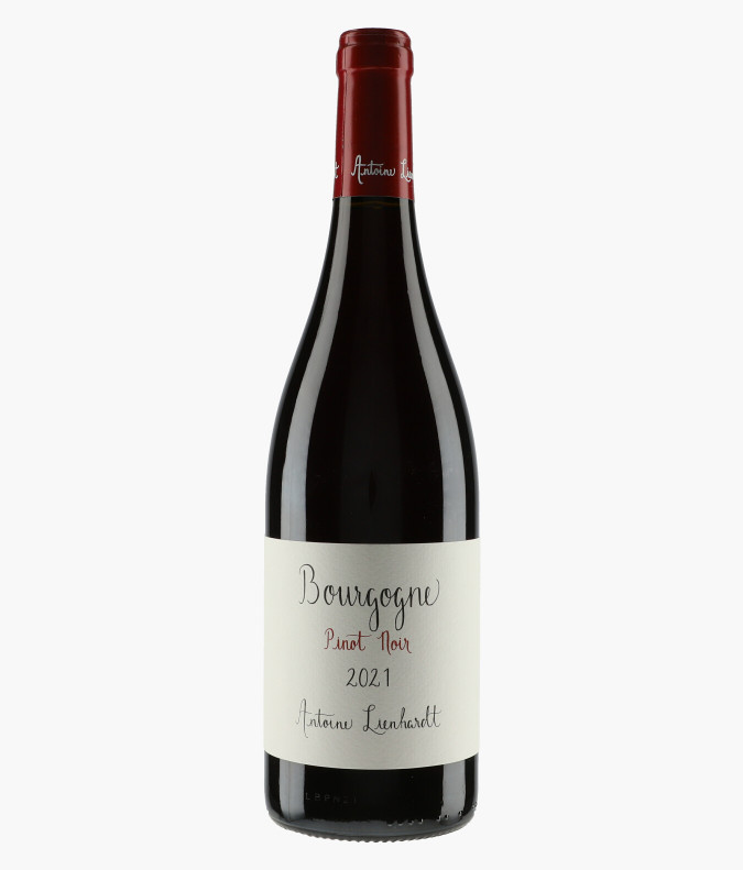 Bourgogne Pinot Noir 2021LIENHARDT ANTOINE
