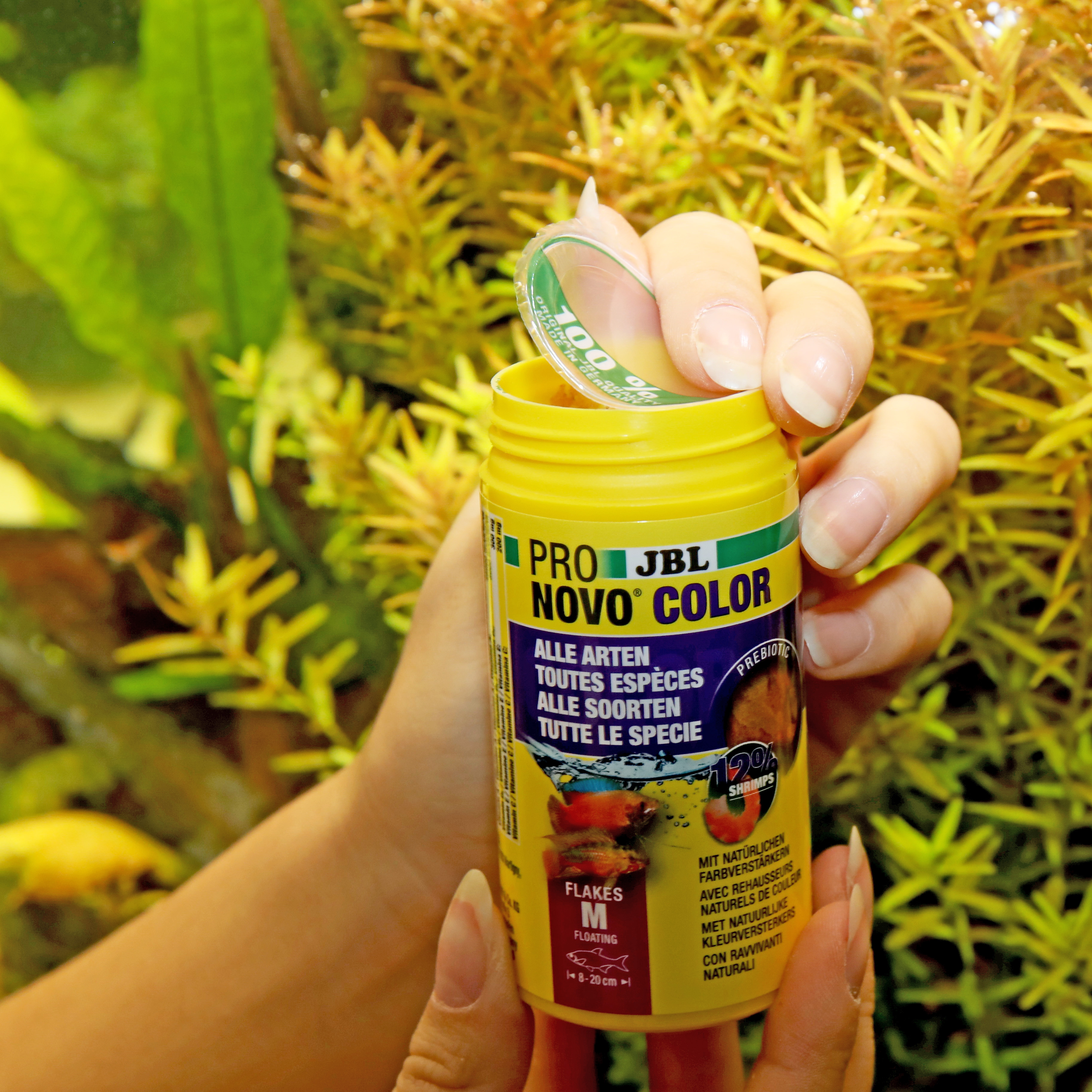 JBL Hauptfutter JBL PRONOVO Color Flakes M 100 ml