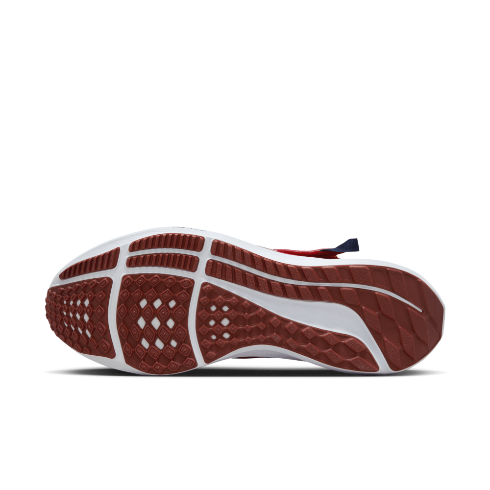Nike Pegasus FlyEase DJ7381-601 / rot