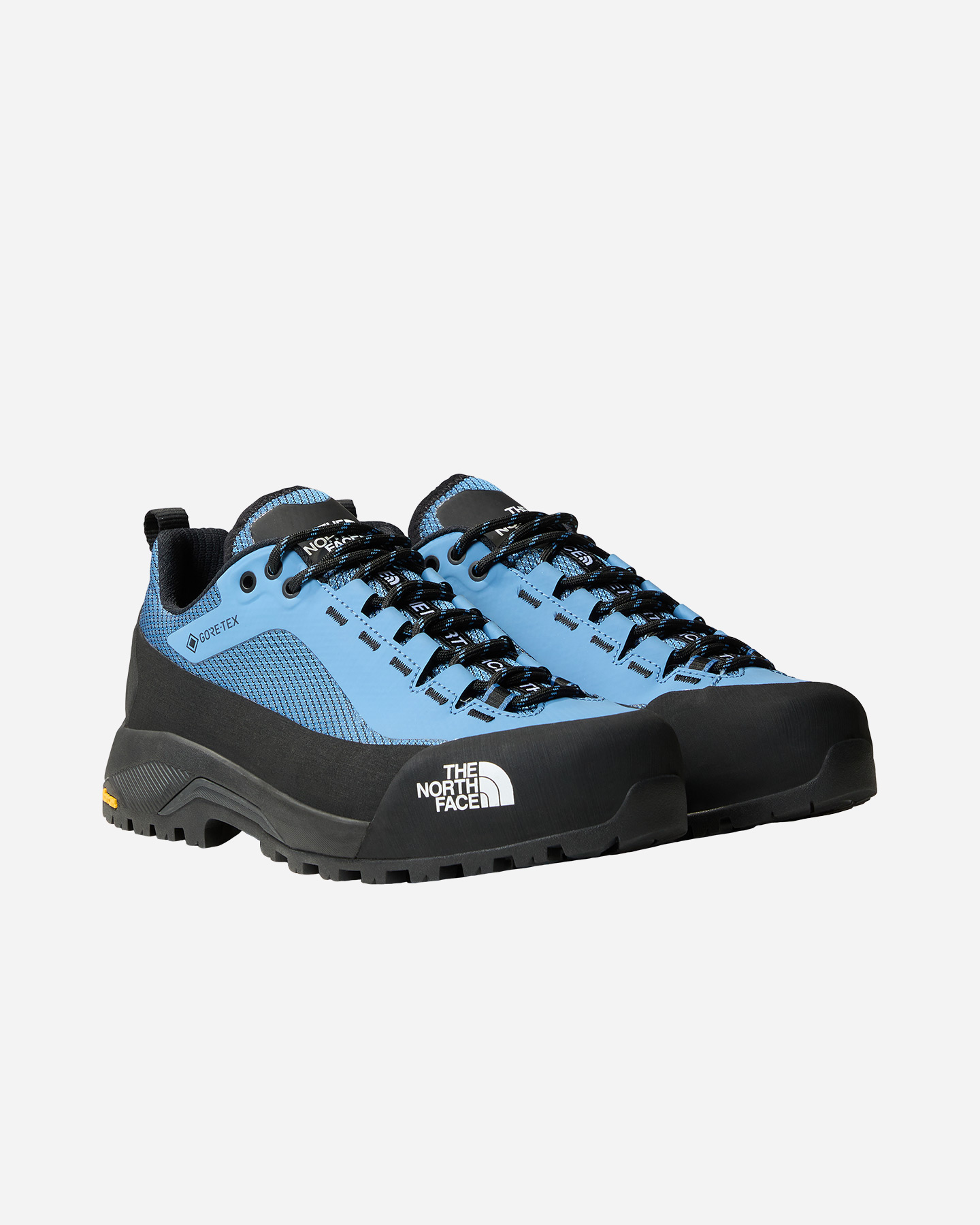 Scarpe Trail The North Face Verto Alpine Gtx W NF0A83MTROE1