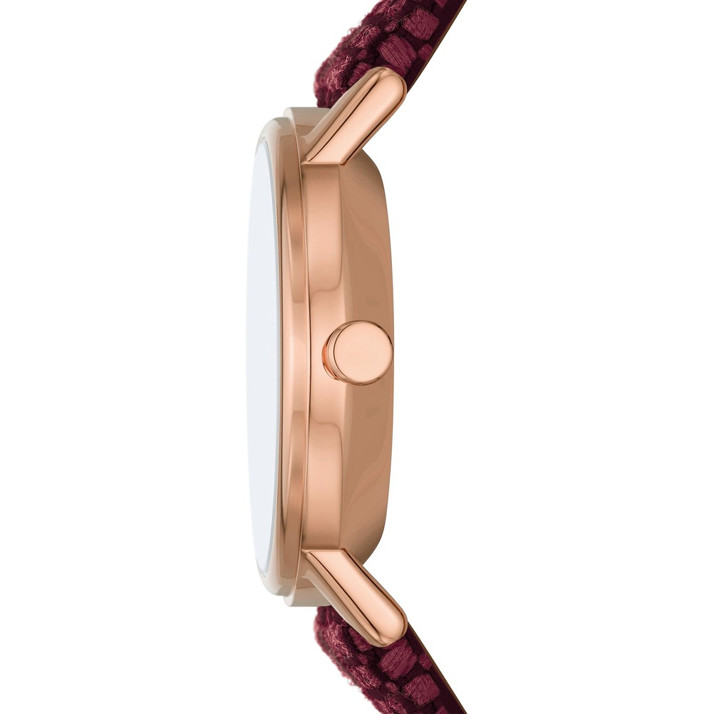 Skagen Montre pour femme Acier inoxydable Montre