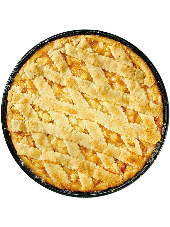 Dr. Oetker Pizzablech 