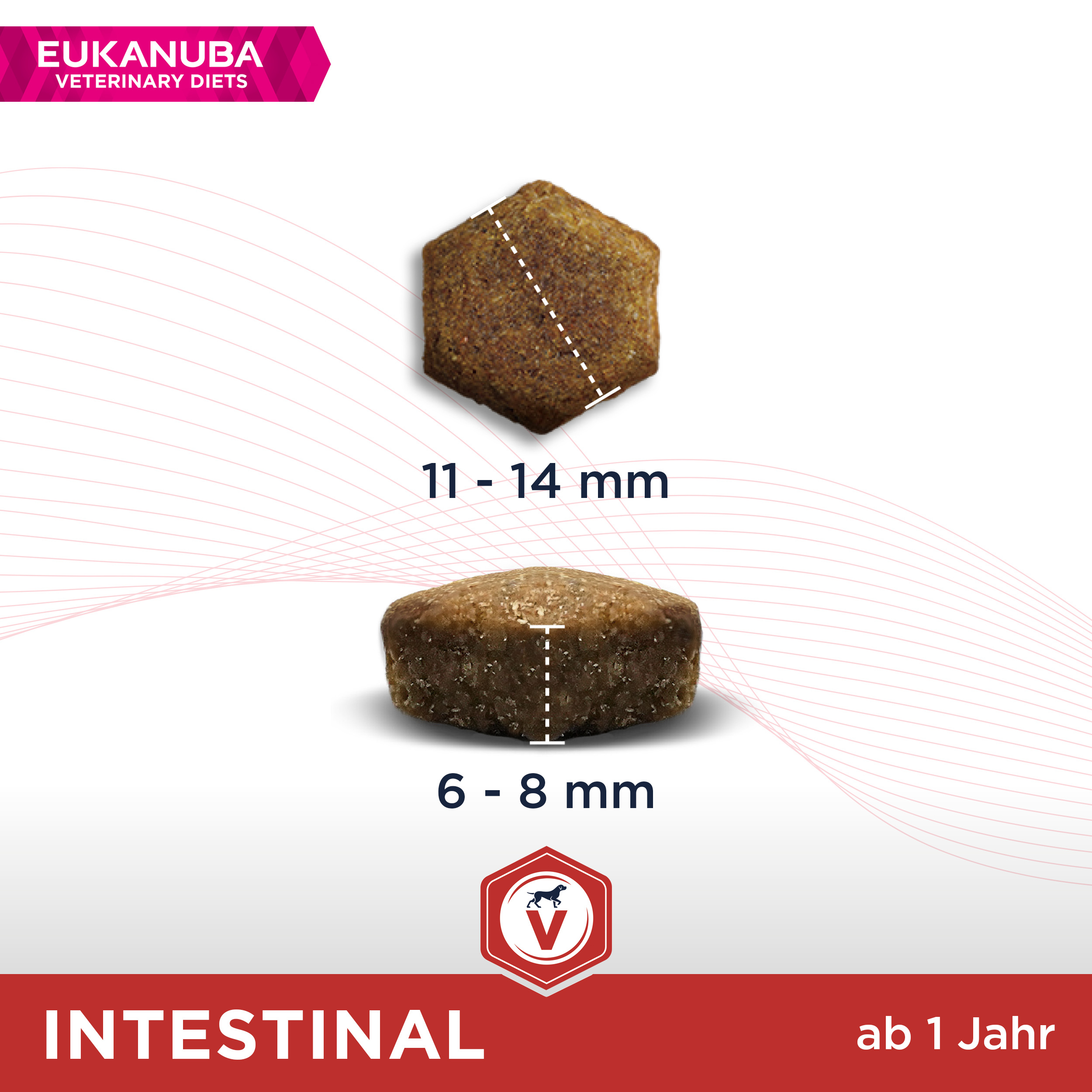 EUKANUBA Hundetrockenfutter EUKANUBA Veterinary Diets Intestinal für ausgewachsene Hunde 2x12 kg