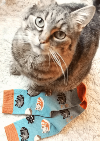 Fräulein Prusselise ~ Biosocke ~ Katzenbande