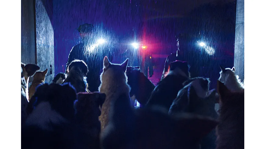 DogMan - 2-Disc Limited SteelBook  (4K Ultra HD) (+ Blu-ray)