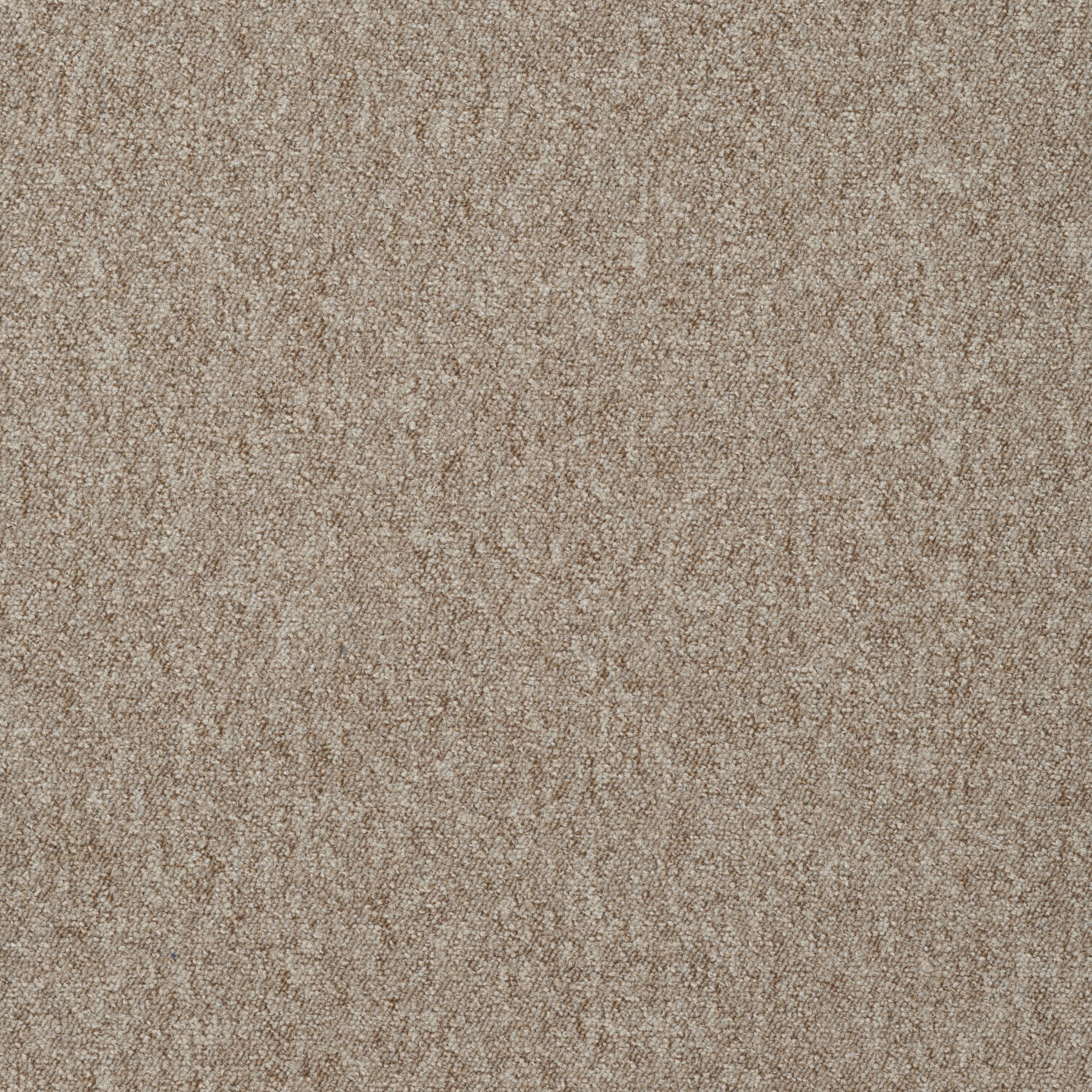 Teppichfliese Colorado, my home, quadratisch, Höhe: 6,5 mm, selbstliegend, 1m² oder 5m², 50 x 50cm, Fliese, Wohnzimmer