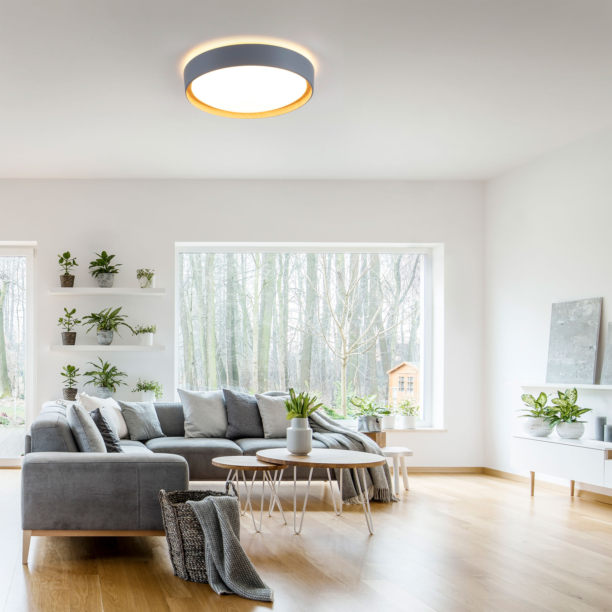JUST LIGHT.LED-Deckenleuchte 1flg