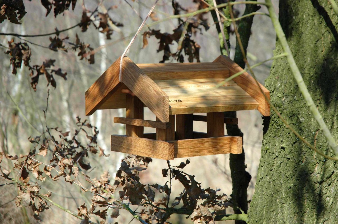 Luxus-Vogelhaus 