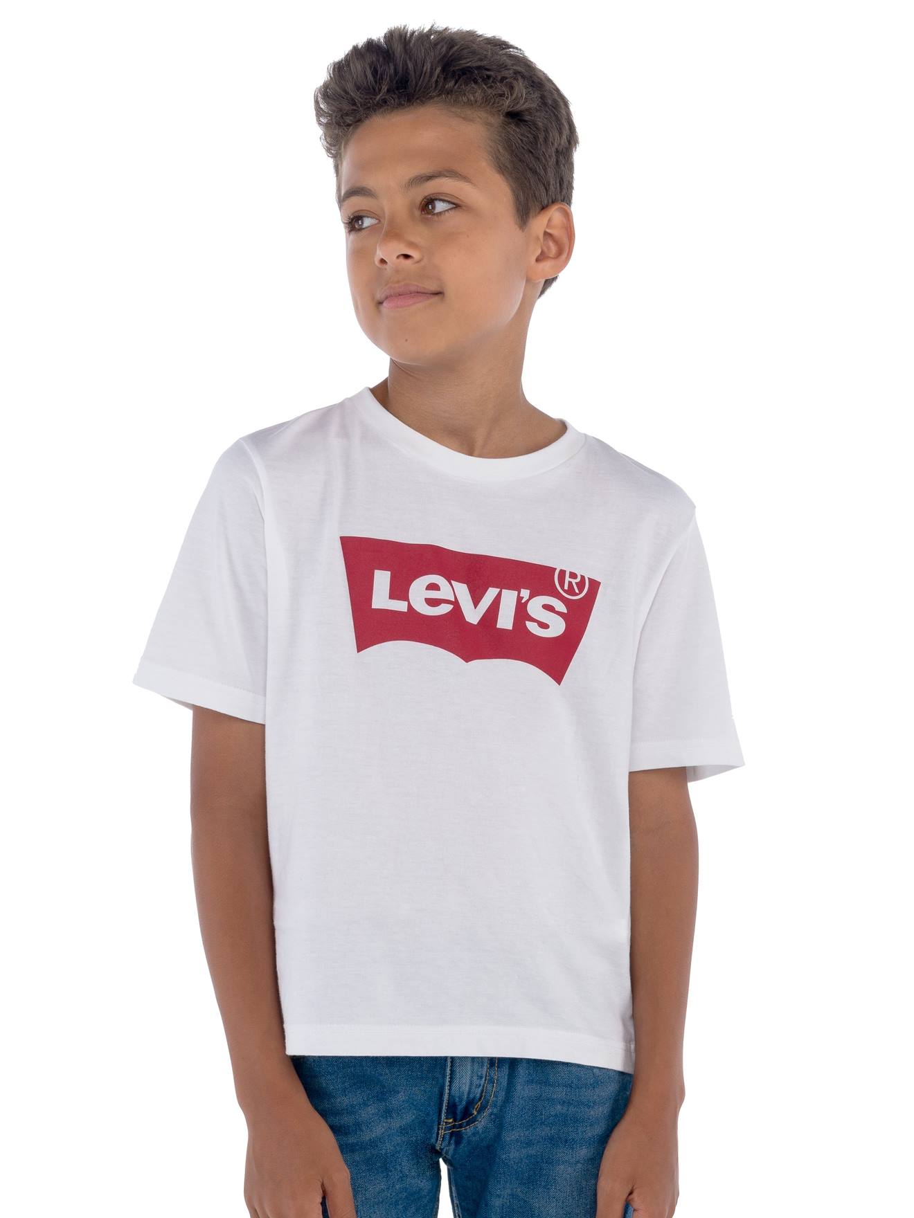 Levis Jungen T-Shirt Batwing Levi's - graublau