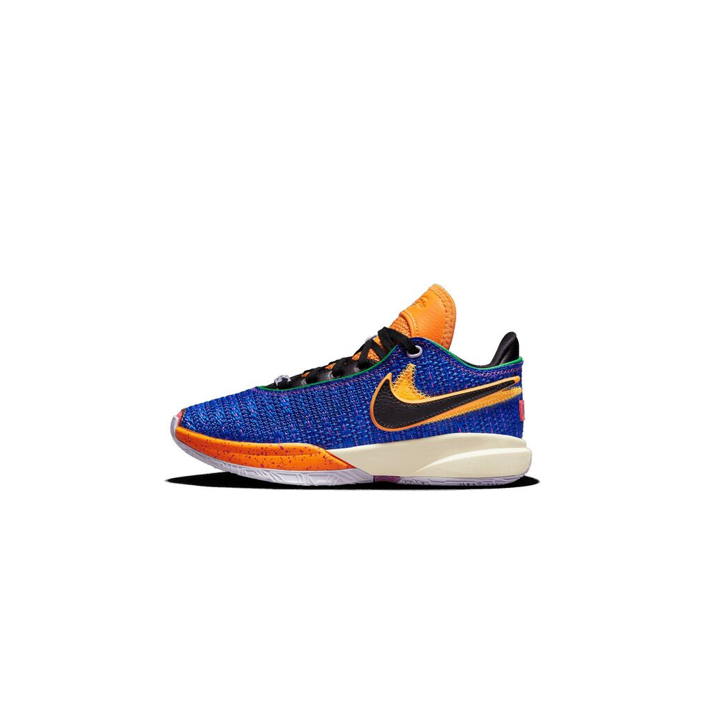 Nike LeBron XX DQ8651-401 / blau
