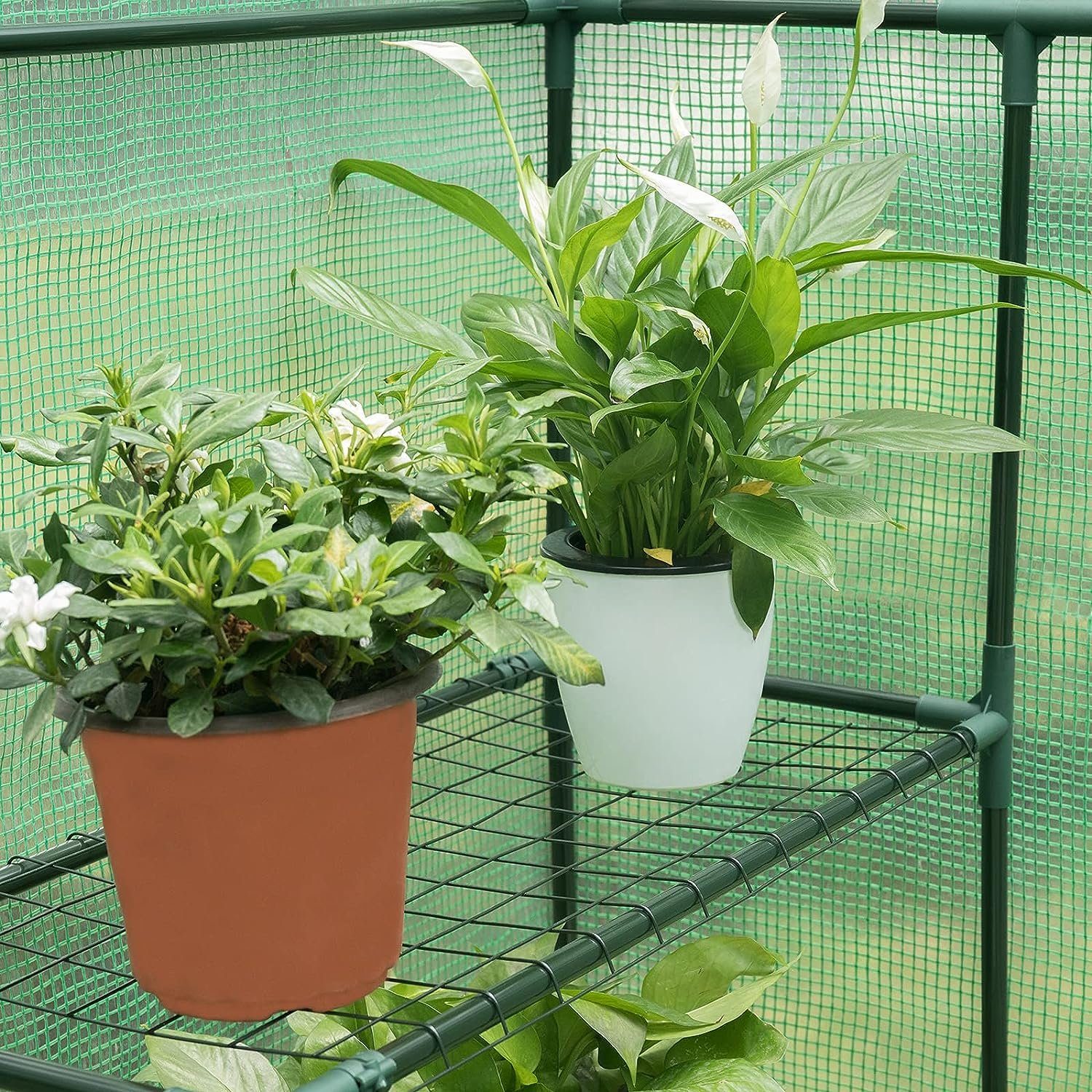 Woltu Gewächshaus, PE halbtransparent wasserdicht wetterfest 130 g/m²