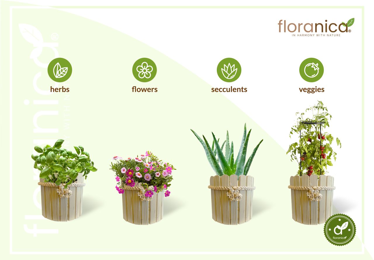 Pemicont Floranica Runder Blumentopf aus Holz 33x20cm Nicht imprägniertes Kiefernholz Schutzhülle für Kräuter Blumen Haus- und Gartendekoration Truhe Für den Innen- und Außenbereich EU-Produkt