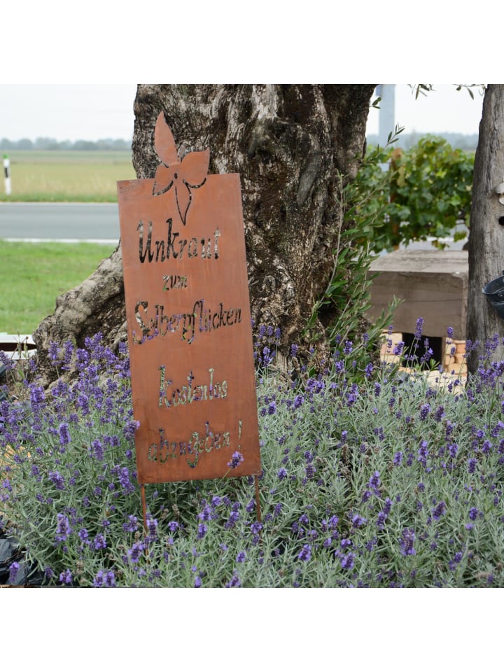 UNUS Gartenschild Rost Unkraut Spruch in Braun günstig kaufen