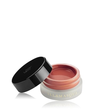 Illamasqua Colour Veil Lidschatten-4.5 ml